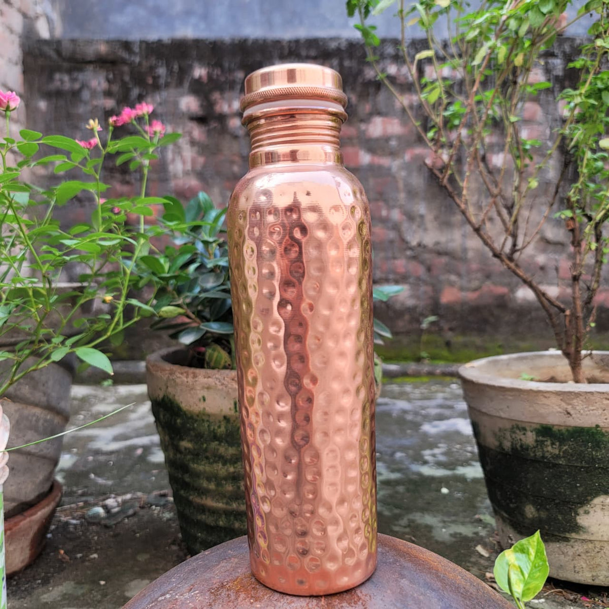 Emberly | Botella de Agua Martillada Color Cobre 800 ml - StilfulltMYSAMA06653800 MLEmberly | Botella de Agua Martillada Color Cobre 800 ml